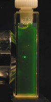 Zwei-Photonen-Fluoreszenz